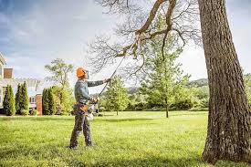  Hamilton Square, NJ Tree Care Pros